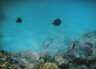 unterwasser1