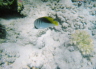 unterwasser2